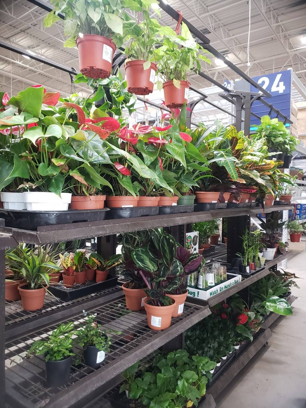 Golden Hills Plaza | shopping mall | 2421-2445 Golden Hill Rd, Paso Robles, CA 93446, USA | 9252791800 OR +1 925-279-1800