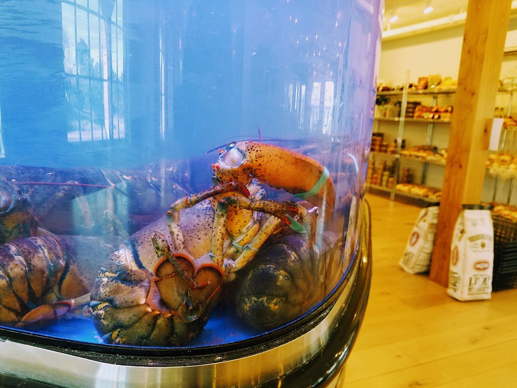 Nantucket Meat & Fish Market | cafe | 21 Old South Rd, Nantucket, MA 02554, USA | 7743335176 OR +1 774-333-5176