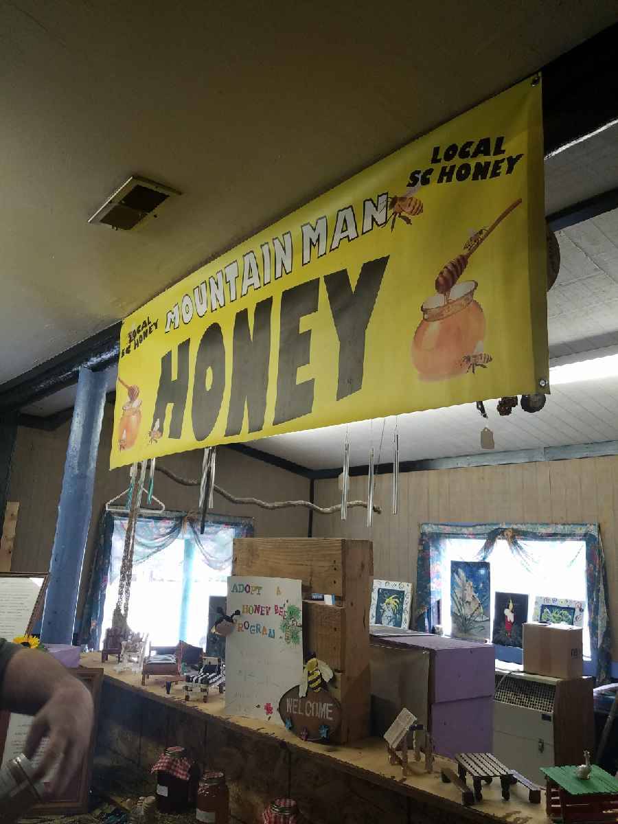 Gypsys Village Restaurant | restaurant | 3990 US-378, Conway, SC 29527, USA | 8435923299 OR +1 843-592-3299