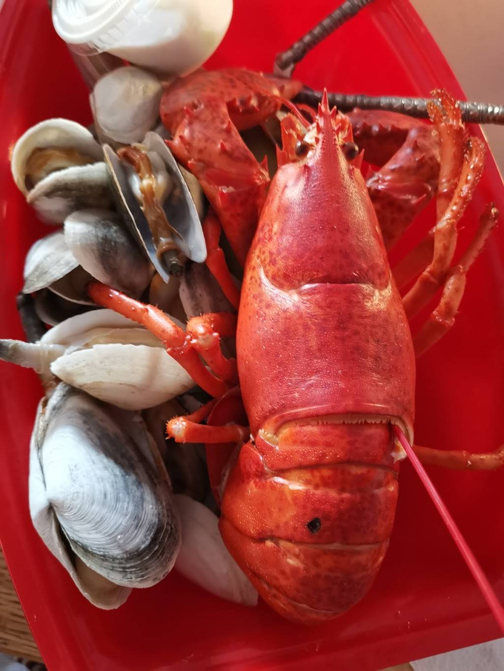 Wooden Shoe | restaurant | 419 Lower County Rd, Dennis Port, MA 02639, USA | 5083946431 OR +1 508-394-6431