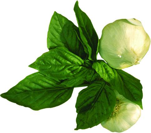 Pizza Marsala | meal delivery | 12120 US-30 Ste A204, North Huntingdon, PA 15642, USA | 7249780444 OR +1 724-978-0444