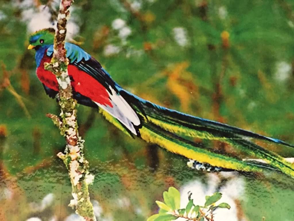 Pupuseria El Cerro Verde-Hawthorne | restaurant | 12627 Hawthorne Blvd, Hawthorne, CA 90250, USA | 3106794379 OR +1 310-679-4379