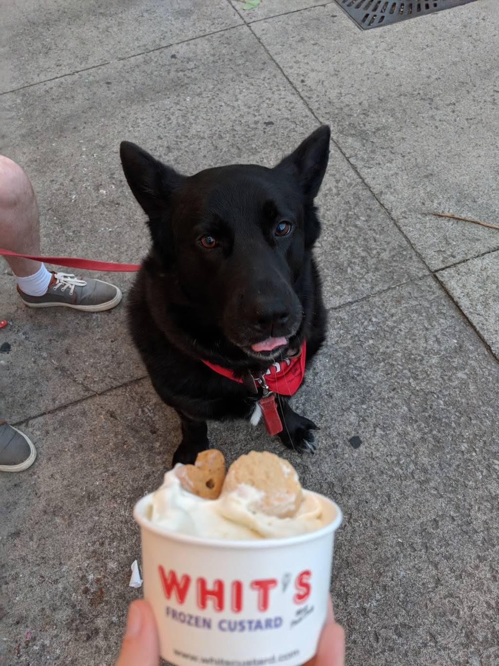 Whits Frozen Custard | restaurant | 3339 N High St, Columbus, OH 43202, USA | 6147548062 OR +1 614-754-8062