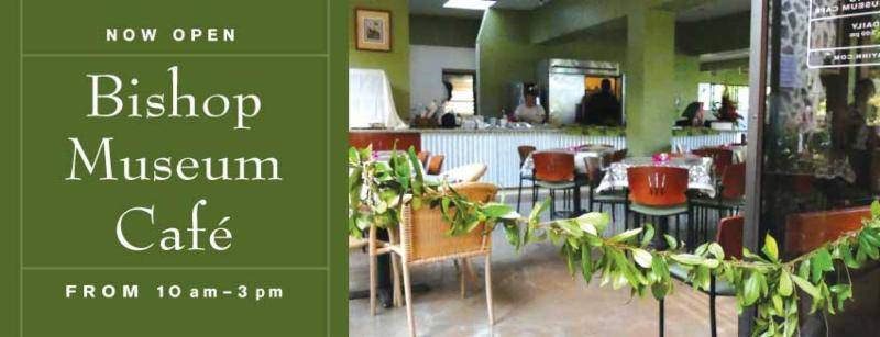 Bishop Museum Café by Highway Inn | cafe | 1525 Bernice St, Honolulu, HI 96817, USA | 8089544951 OR +1 808-954-4951
