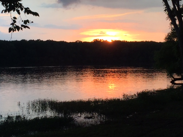 Sunset Bay Resort And Marina | restaurant | 60 Mansard Island Dr, Springville, TN 38256, USA | 7316425590 OR +1 731-642-5590