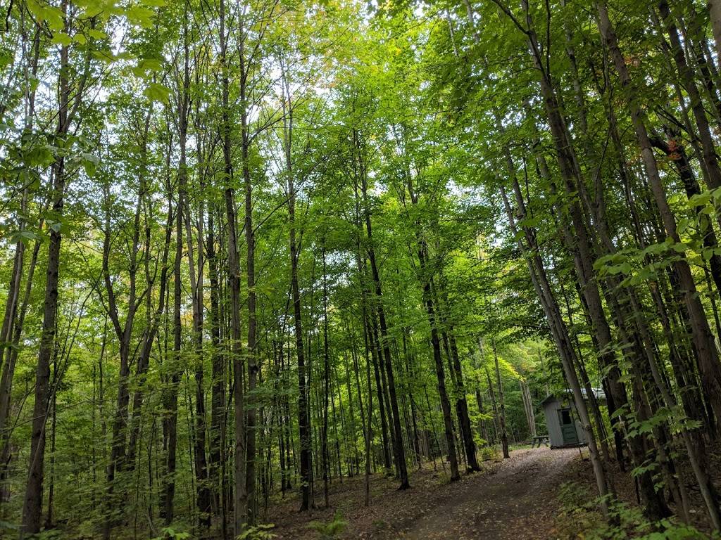 Mountain Mamas Roadside Eatery | restaurant | Church Rd, Dickinson Center, NY 12930, USA | 7326735211 OR +1 732-673-5211