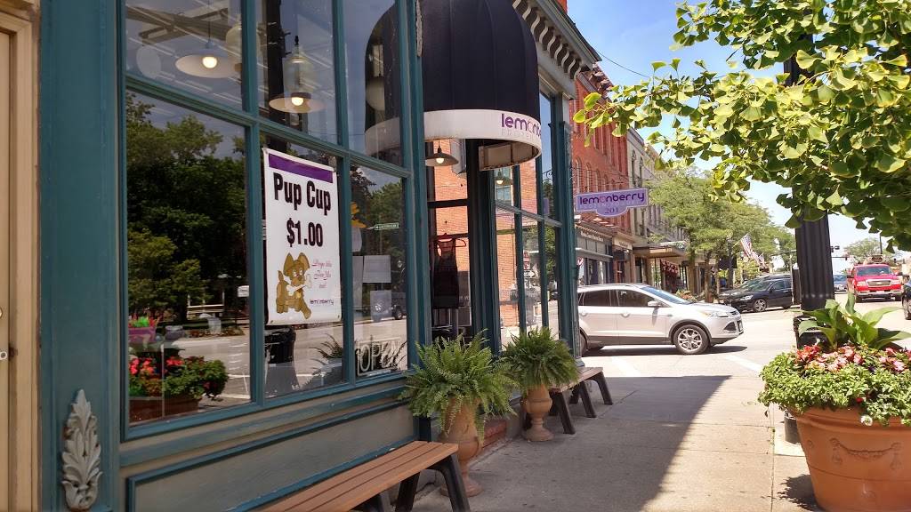 Lemonberry Frozen Yogurt | restaurant | 201 S Court St, Medina, OH 44256, USA | 3307210793 OR +1 330-721-0793