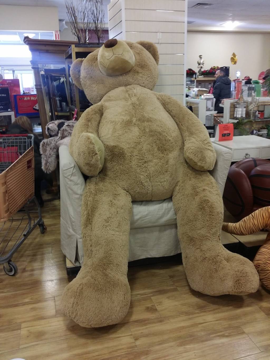 The Gallery At Westbury Plaza | shopping mall | 900 Old Country Rd, Garden City, NY 11530, USA | 2036355560 OR +1 203-635-5560