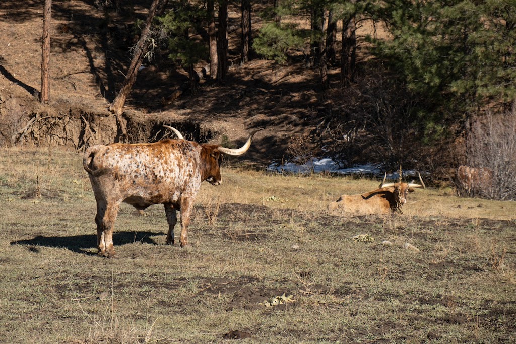 Pendaries Village & Golf Resort | restaurant | 1 Lodge Rd, Rociada, NM 87742, USA | 5054253561 OR +1 505-425-3561