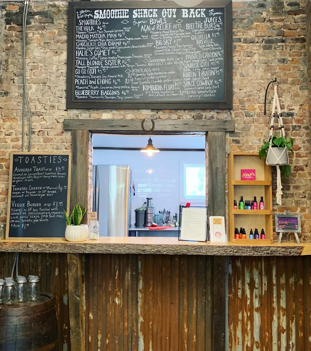 Smoothie Shack Out Back | restaurant | 25 Bridge St, Plattsburgh, NY 12901, USA | 5185615904 OR +1 518-561-5904