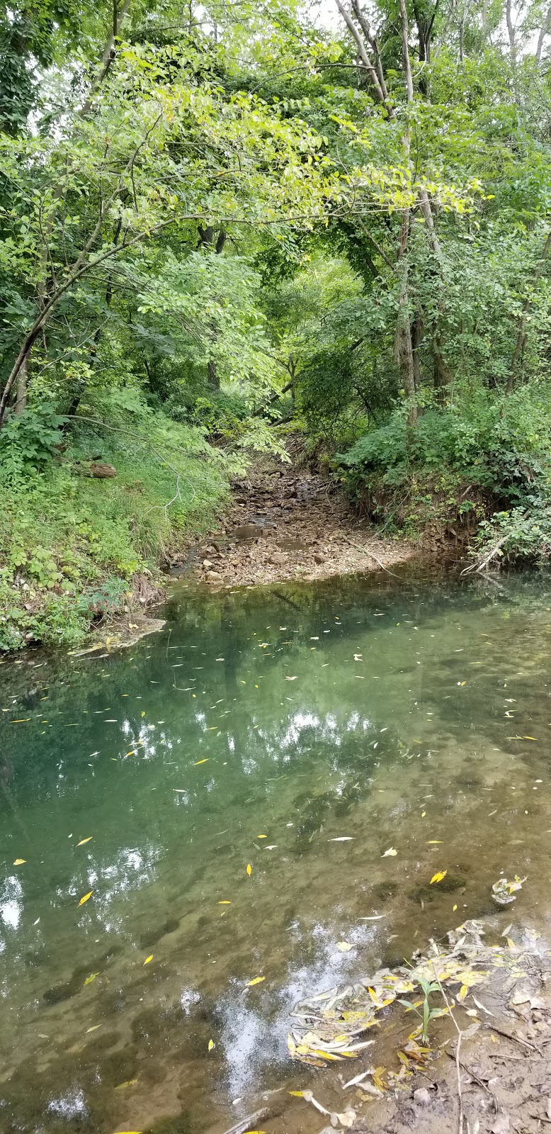 Red Barn Campground & Restaurant | restaurant | 2609 Main St, Lansing, IA 52151, USA | 5635384956 OR +1 563-538-4956