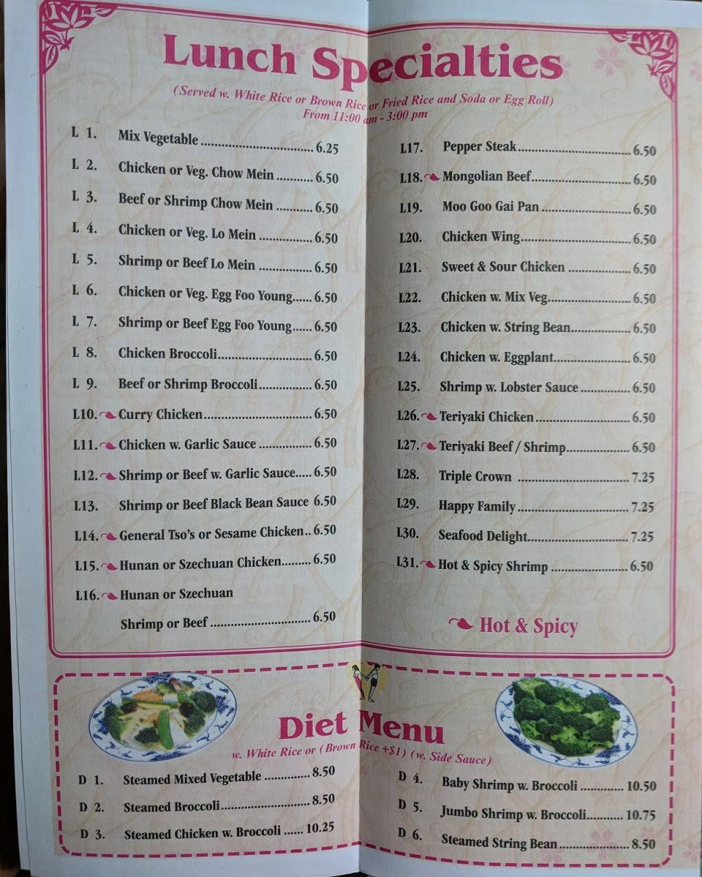 Halal Dynasty | restaurant | 172-29 Hillside Avenue, Jamaica, NY 11432, USA | 7182986888 OR +1 718-298-6888