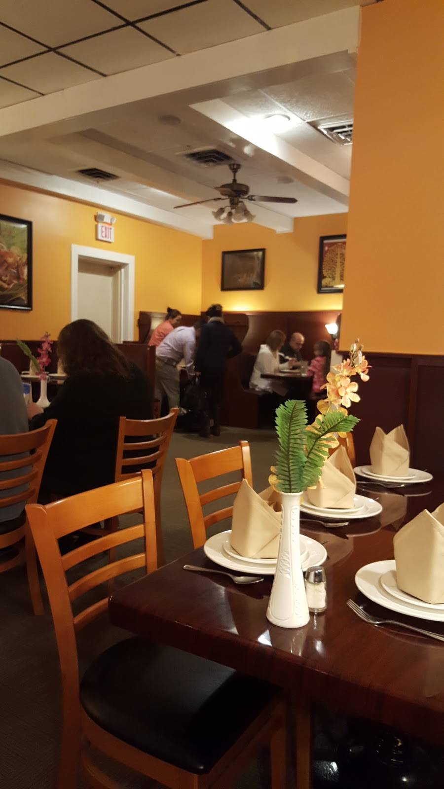 Baan Thai Restaurant | restaurant | 3235 N Anthony Blvd, Fort Wayne, IN 46805, USA | 2604712929 OR +1 260-471-2929