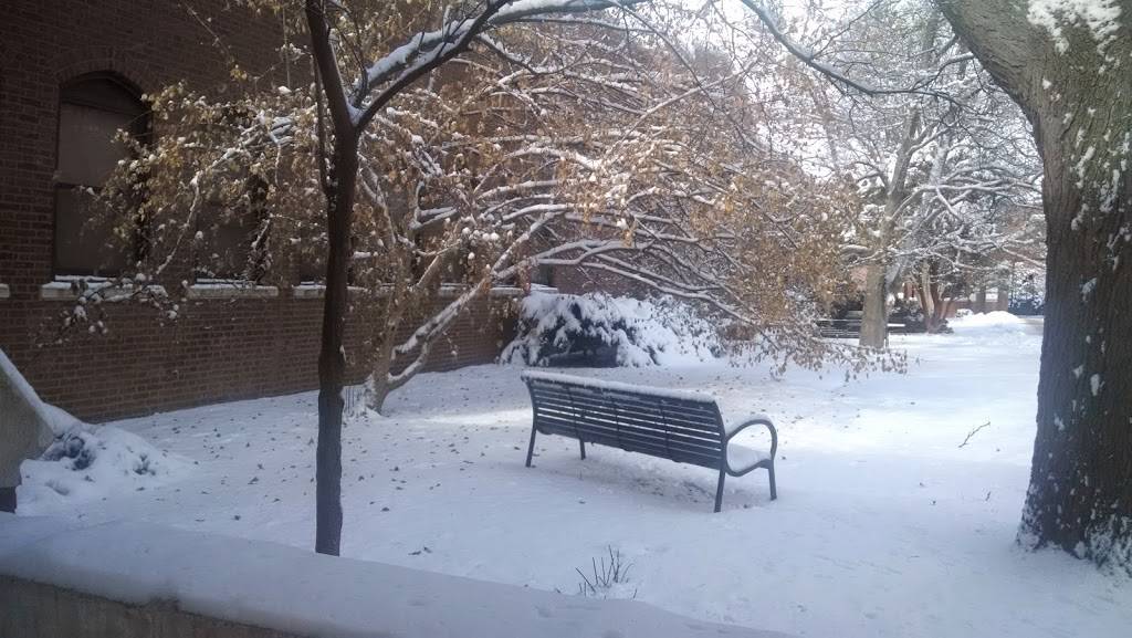 Courtyard Cafe | cafe | W0184 Lagomarcino Hall, Ames, IA 50011, USA | 5152949797 OR +1 515-294-9797