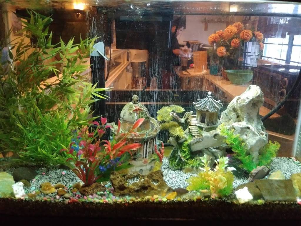 Tokyo Bay Japanese Restaurant & Sushi | restaurant | 5901 Sun Blvd #121, St. Petersburg, FL 33715, USA | 7278670770 OR +1 727-867-0770