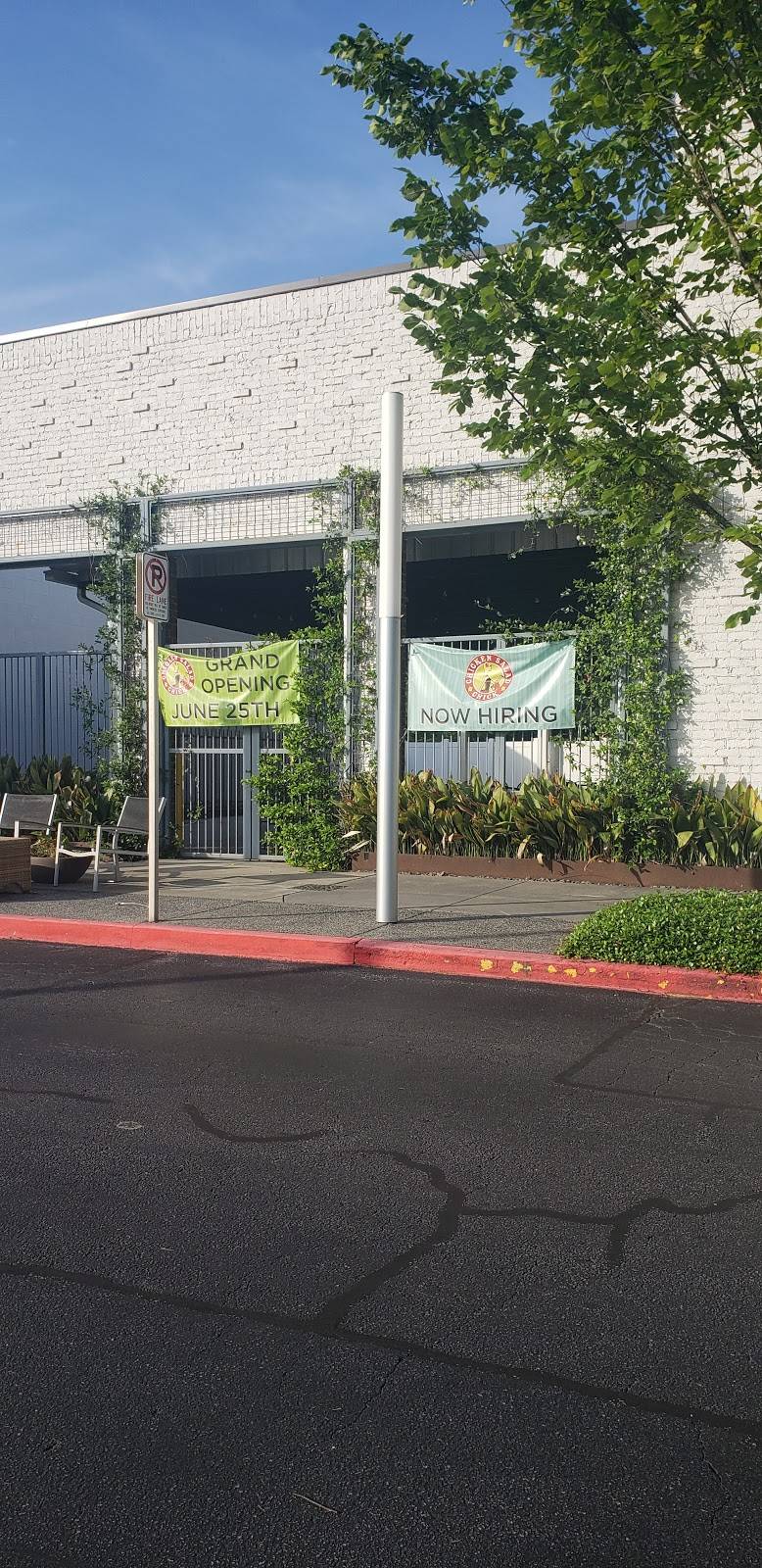 Chicken Salad Chick | restaurant | 2960 Shallowford Rd Suite 104B, Marietta, GA 30066, USA | 7704153036 OR +1 770-415-3036