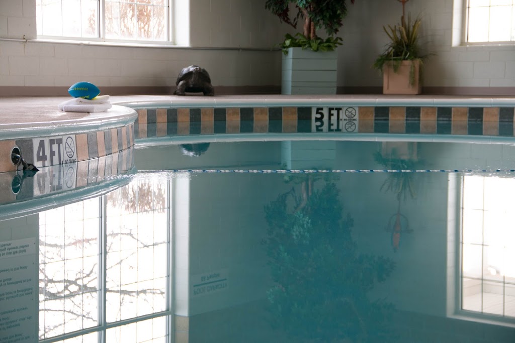 Essenhaus Inn & Conference Center | restaurant | 240 US-20, Middlebury, IN 46540, USA | 5748259471 OR +1 574-825-9471