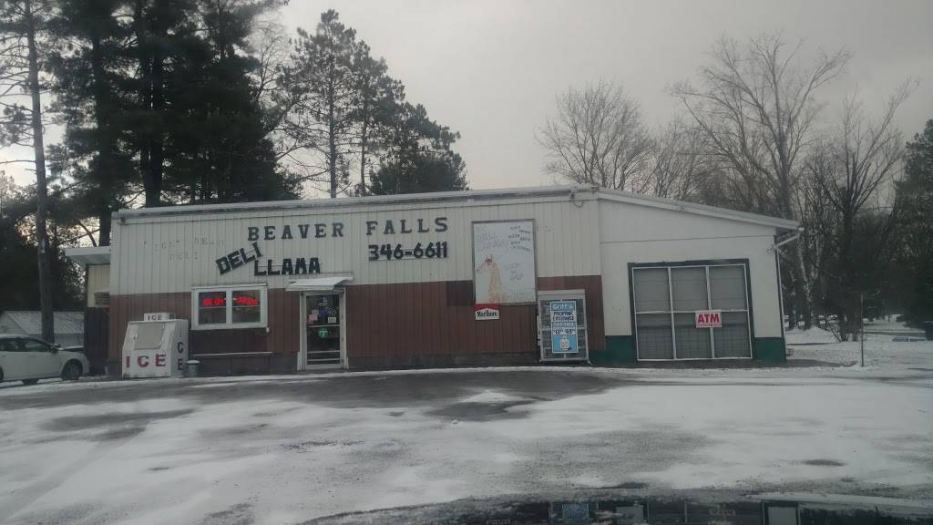 Deli Llama Soup er Shop | restaurant | 9723 NY-126, Castorland, NY 13620, USA | 3153466611 OR +1 315-346-6611