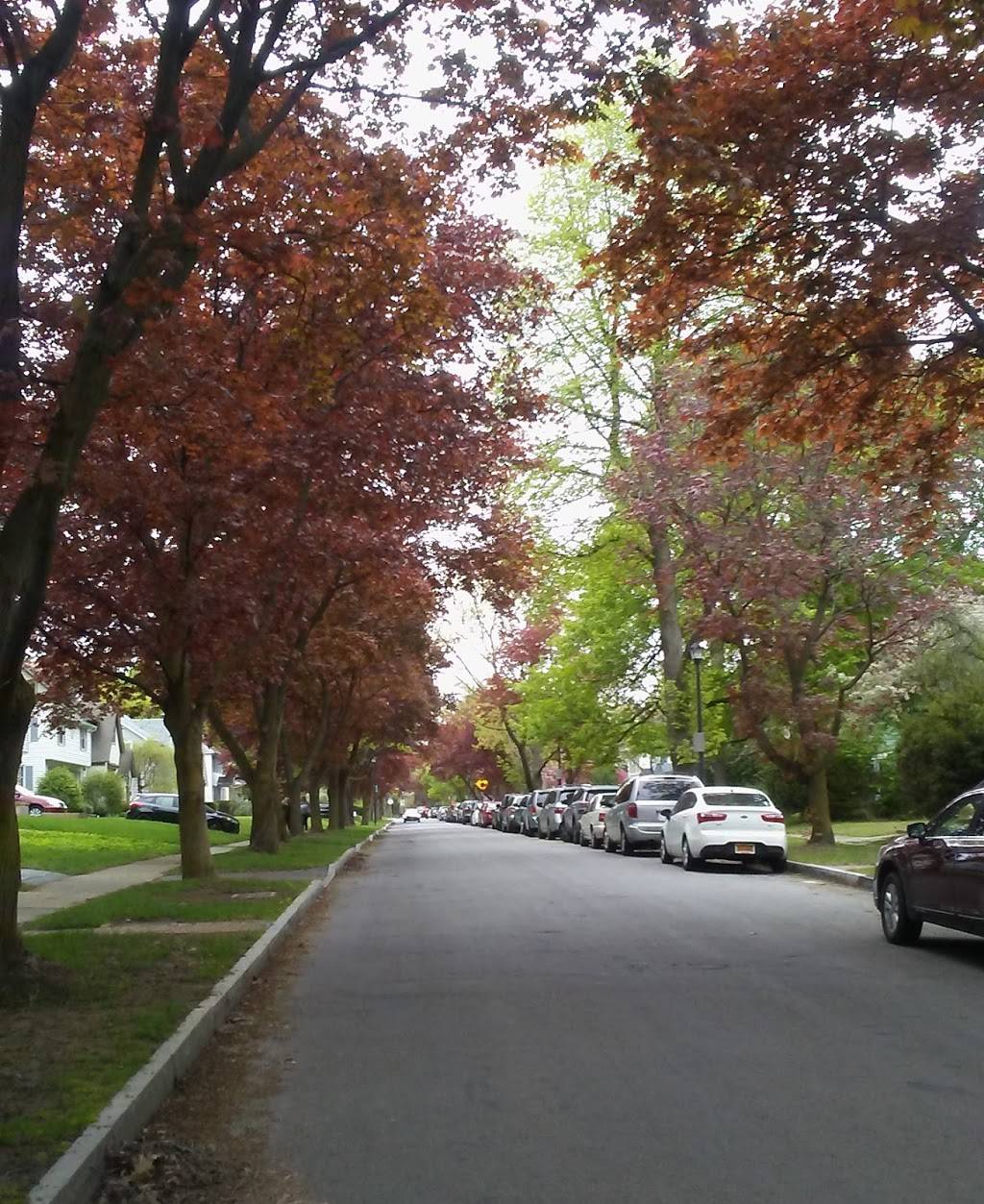 South Wedge Hots & Subs | restaurant | 492 Monroe Ave, Rochester, NY 14607, USA | 5855461530 OR +1 585-546-1530