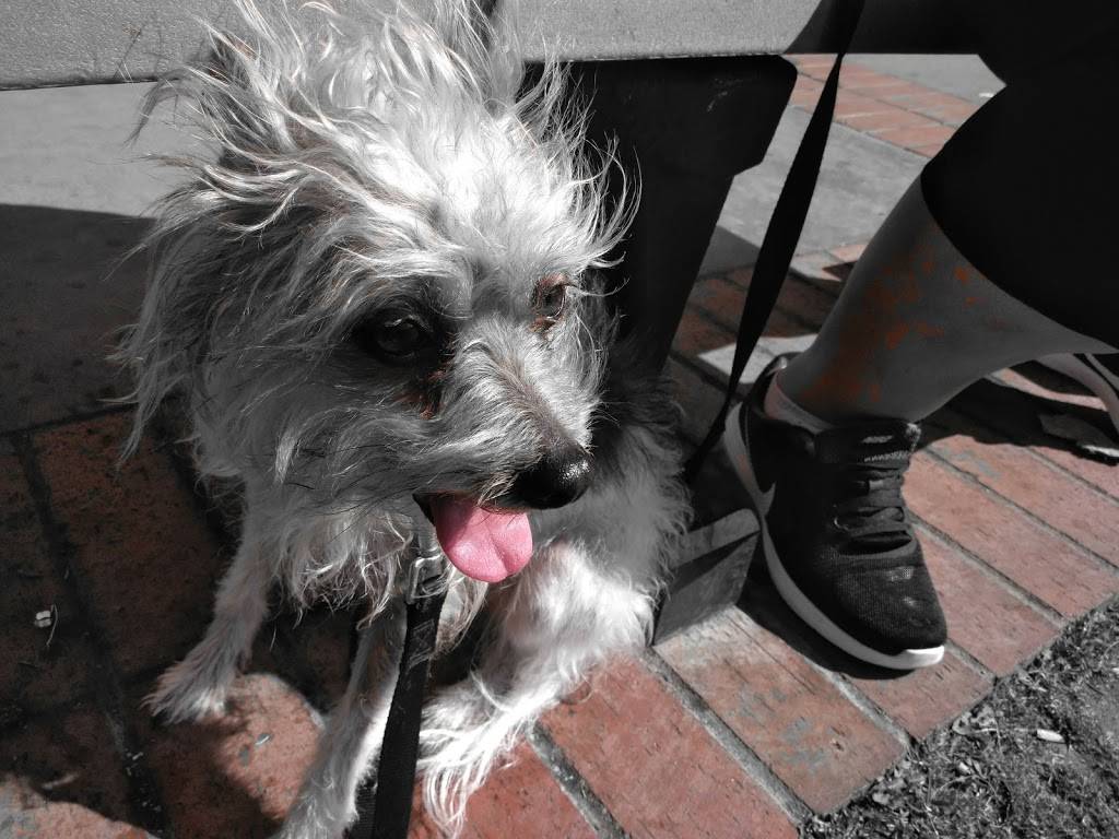 Subway Restaurants | restaurant | 7 2nd St, Watsonville, CA 95076, USA | 8317615994 OR +1 831-761-5994