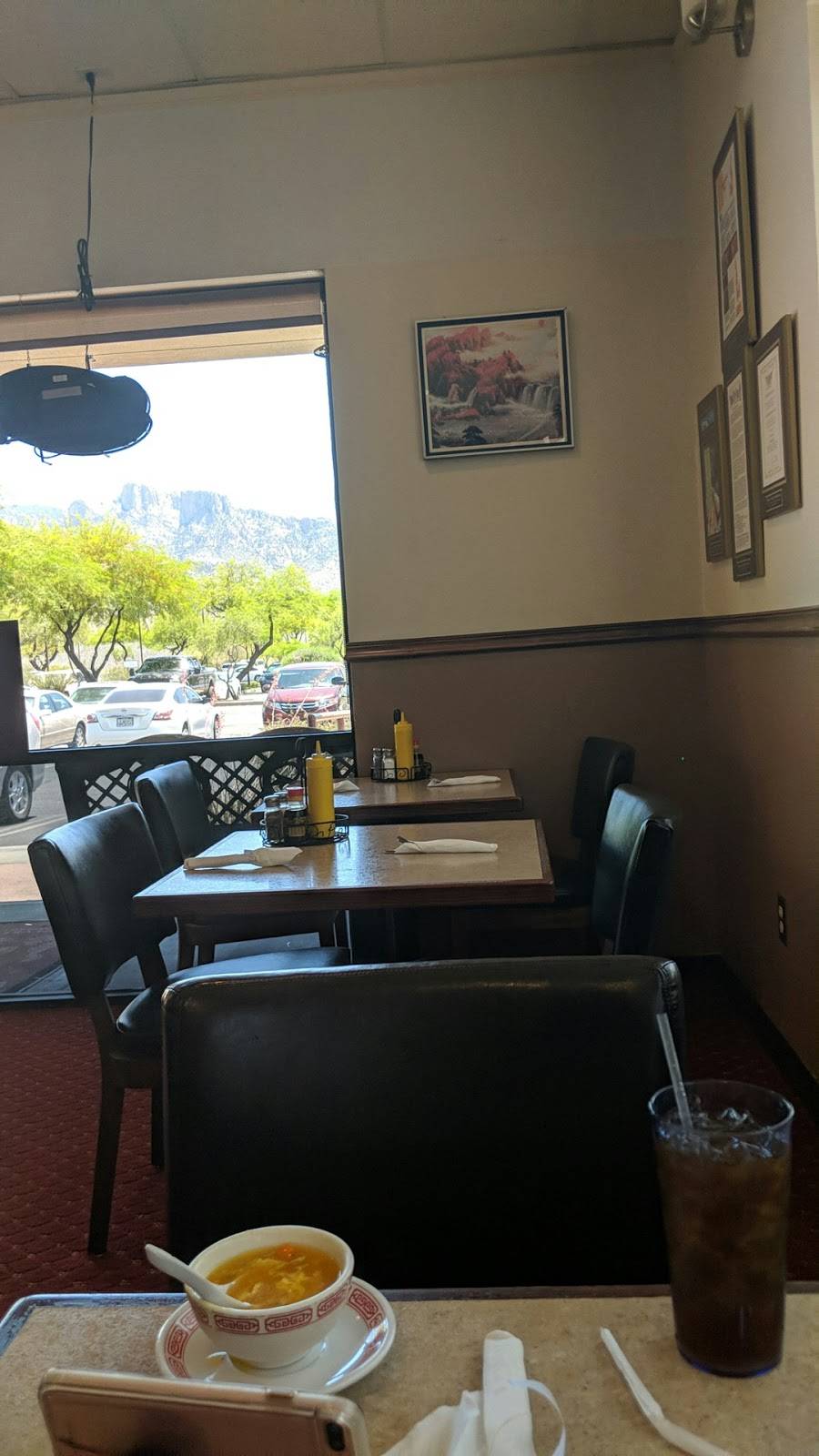 Dragon Village Restaurant | restaurant | 12152 N Rancho Vistoso Blvd #180, Oro Valley, AZ 85737, USA | 5202290388 OR +1 520-229-0388