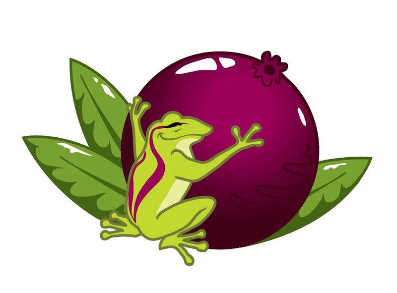 Ricos Acai | restaurant | 8440 Rea Rd suit 100, Charlotte, NC 28277, USA | 7044972144 OR +1 704-497-2144