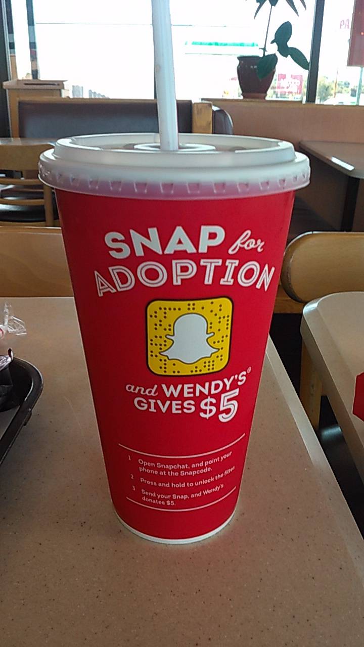 Wendys | restaurant | 2504 S Seneca St, Wichita, KS 67217, USA | 3162699178 OR +1 316-269-9178