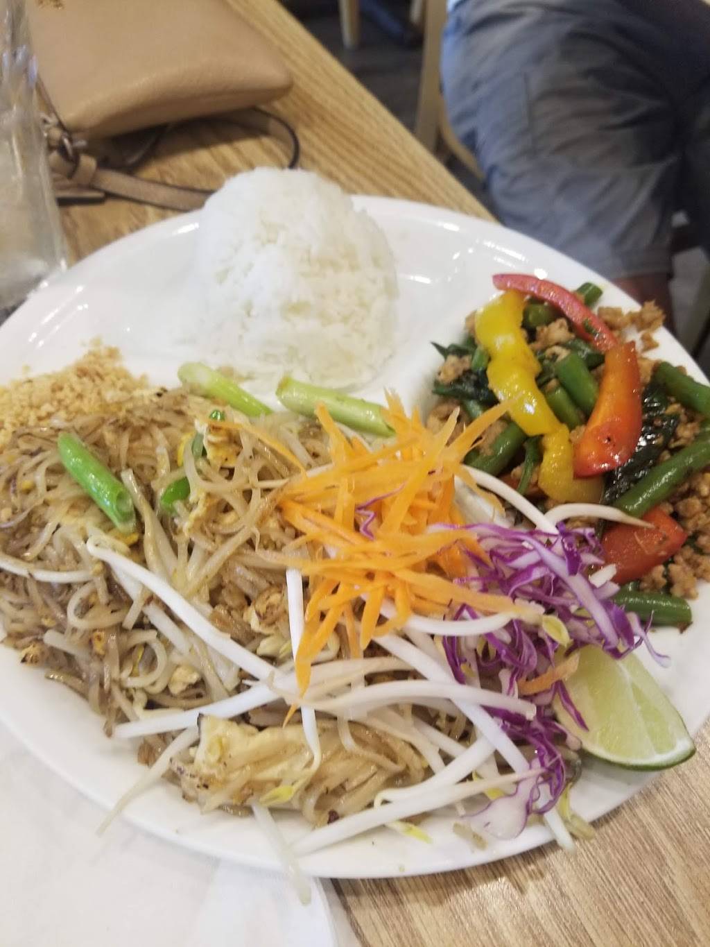 The Elephant Thai Cuisine | restaurant | 5353 W Devon Ave, Chicago, IL 60646, USA | 7734671168 OR +1 773-467-1168