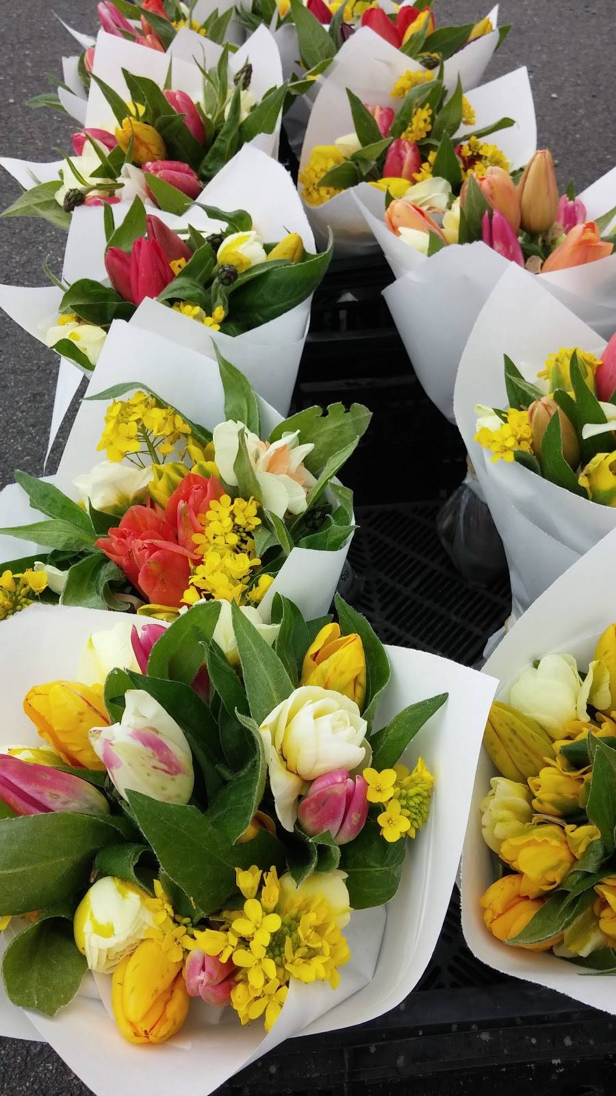 Taqueria Mi Cocina | restaurant | 9913 WA-532, Stanwood, WA 98292, USA | 3609268364 OR +1 360-926-8364