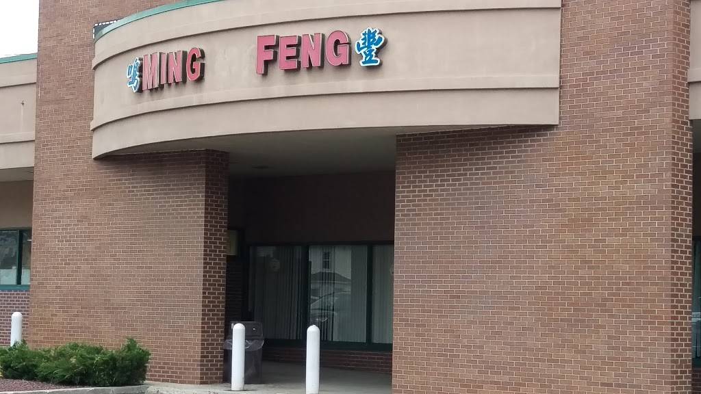 Ming Feng | restaurant | 337 Applegarth Rd, Monroe Township, NJ 08831, USA | 6093959288 OR +1 609-395-9288