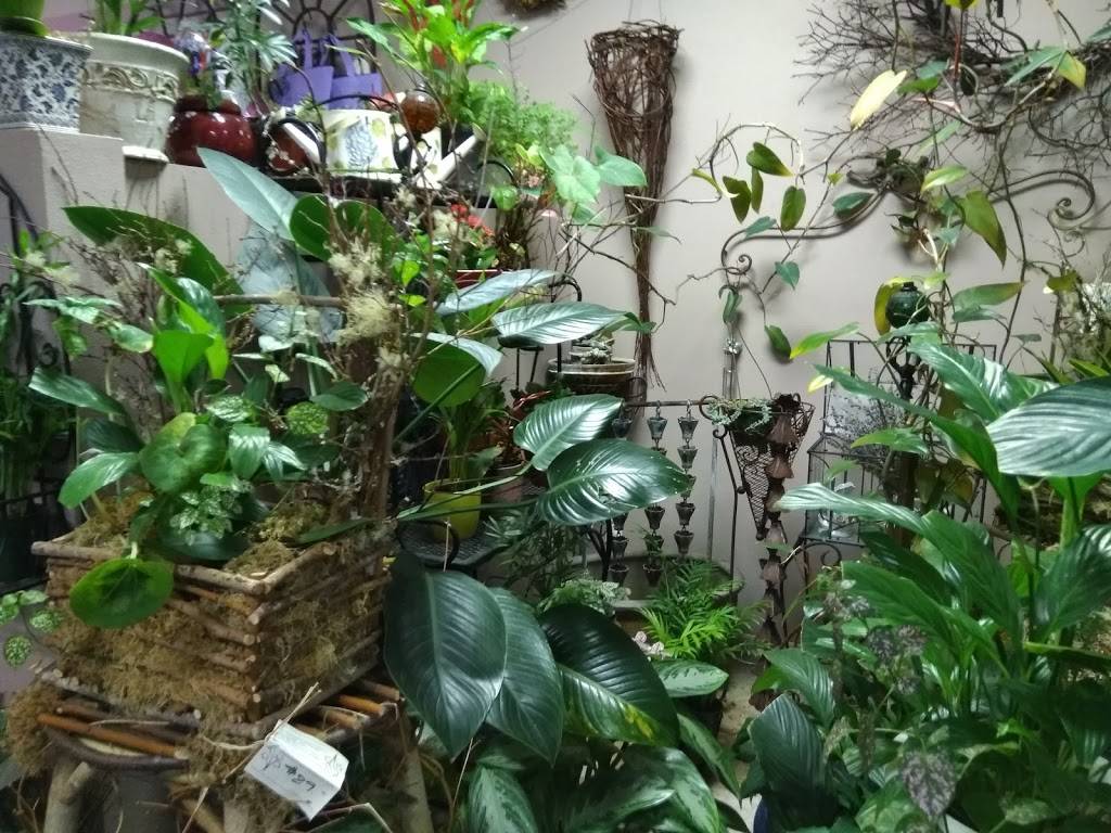 Pizza Hut | meal takeaway | 14313 NE 20th Ave a108, Vancouver, WA 98686, USA | 3609535255 OR +1 360-953-5255