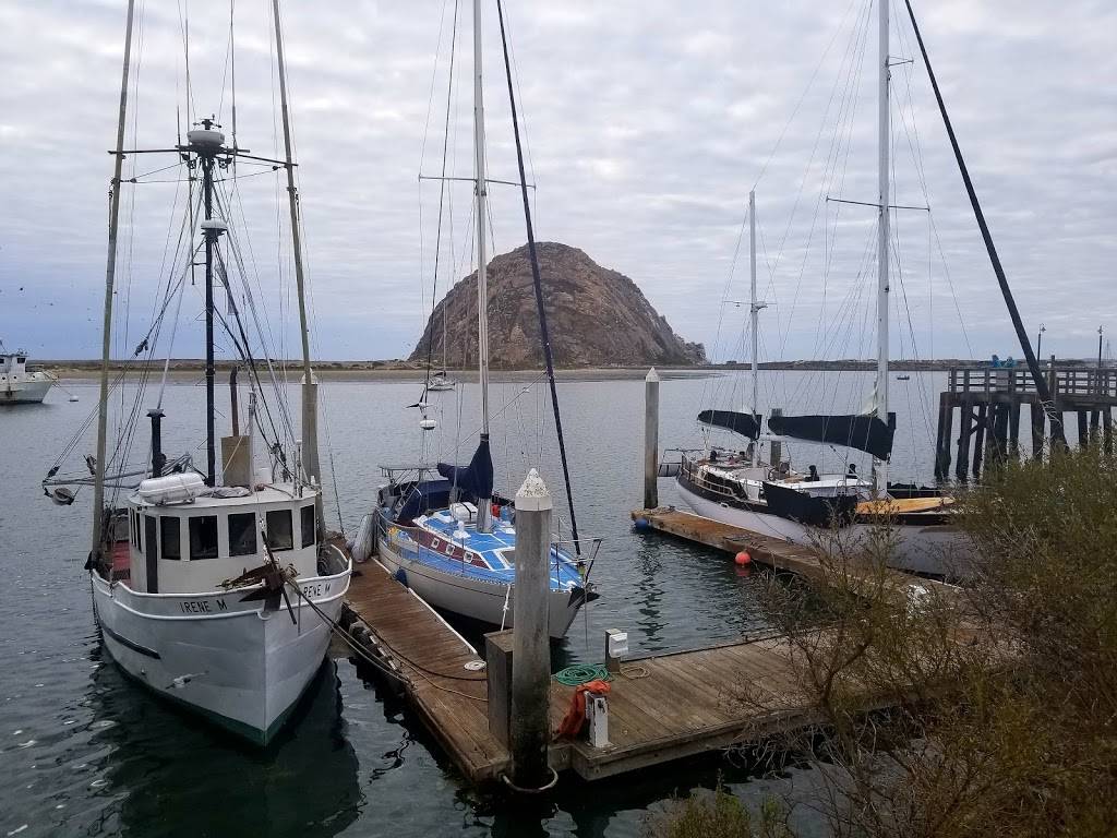 House Of JuJu By the Bay | restaurant | 945 Embarcadero, Morro Bay, CA 93442, USA | 8052251828 OR +1 805-225-1828