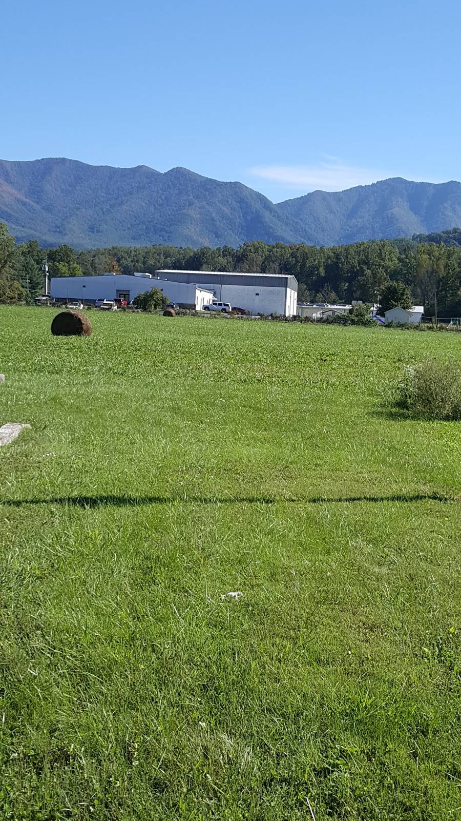 Cosby Barbque Pit | restaurant | 4414 Hooper Hwy, Cosby, TN 37722, USA | 4234875438 OR +1 423-487-5438