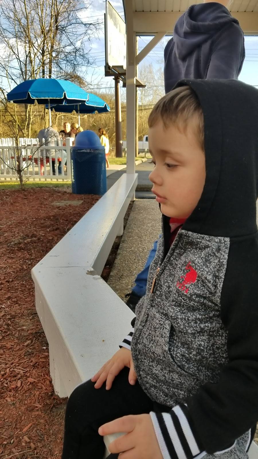 The Lil Goodie Shoppe | restaurant | 7120 Eagle Creek Rd, Cincinnati, OH 45247, USA | 5133533290 OR +1 513-353-3290