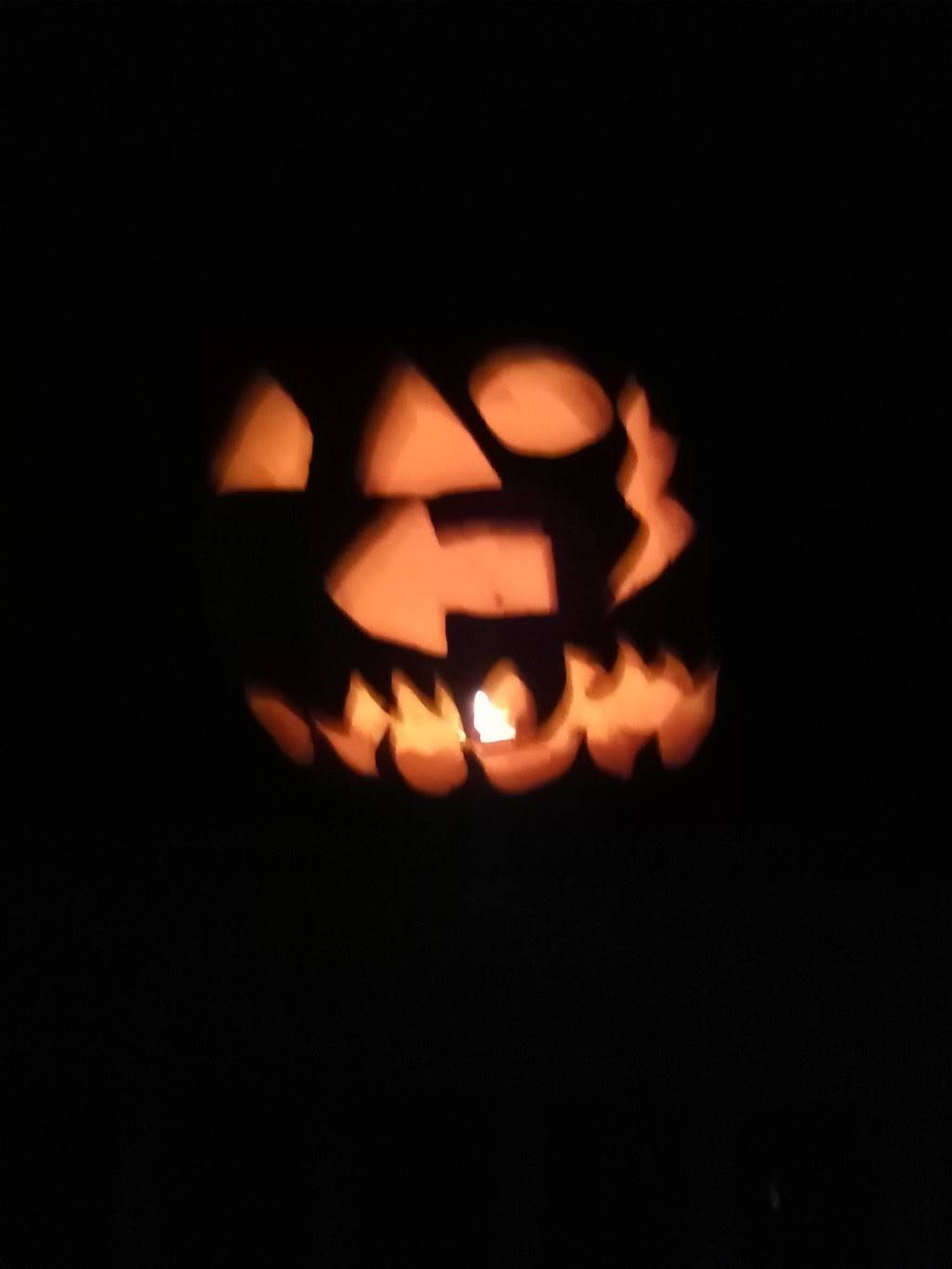 Possum Creek Restaurant | restaurant | 3267 Rockhold Rd, Bluff City, TN 37618, USA | 4235383337 OR +1 423-538-3337