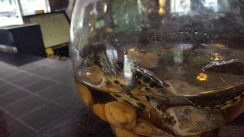 Asian Cafe | restaurant | 7 N Church St, Middletown, MD 21769, USA | 3013715988 OR +1 301-371-5988