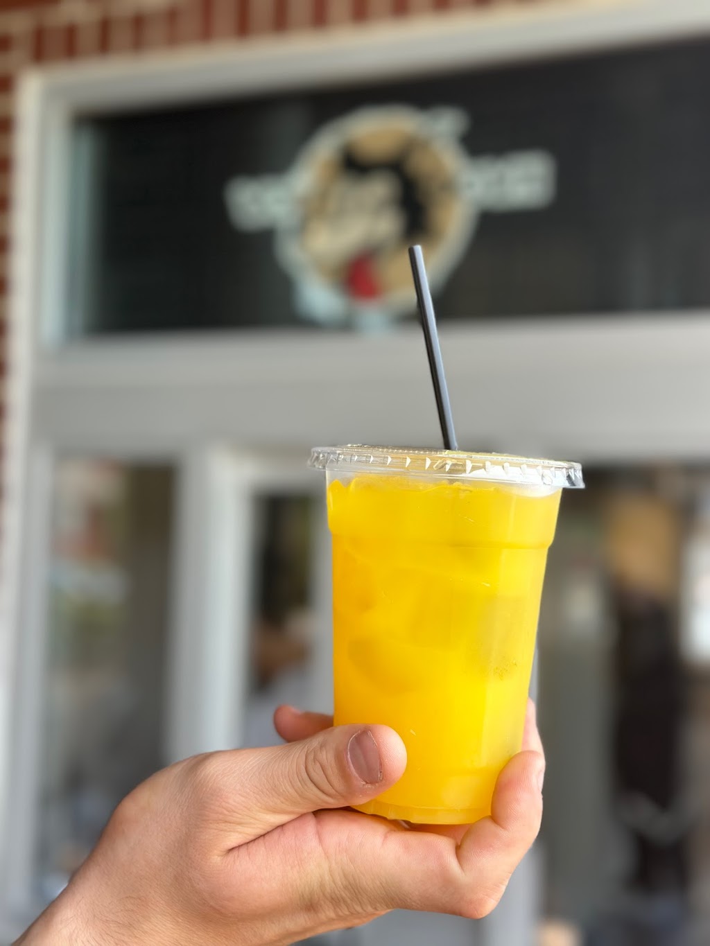 Wolf Down | restaurant | 215 Legion St, Clarksville, TN 37040, USA | 9314949495 OR +1 931-494-9495