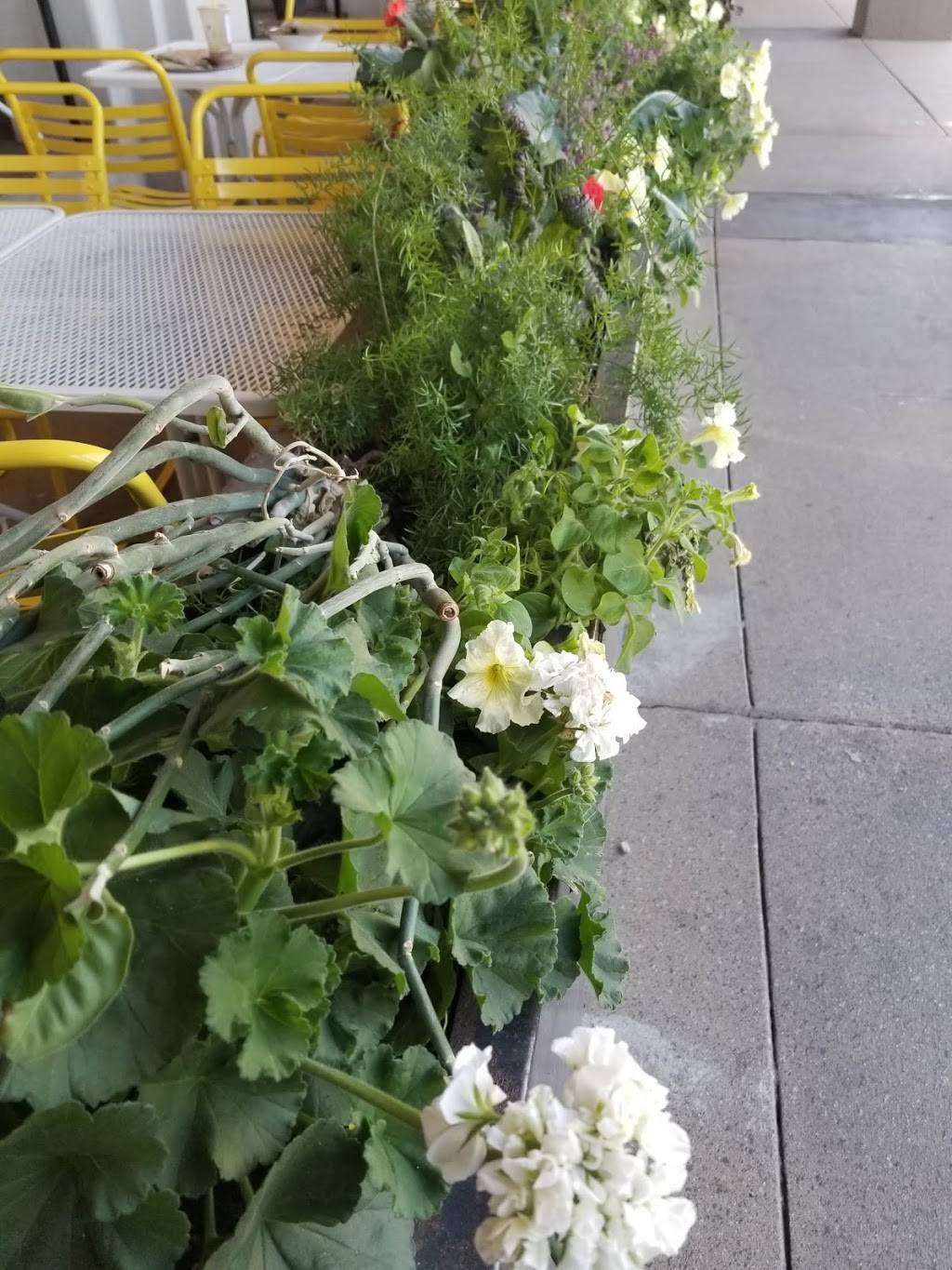 Original ChopShop | restaurant | 35 W Boston St, Chandler, AZ 85225, USA | 4804260216 OR +1 480-426-0216