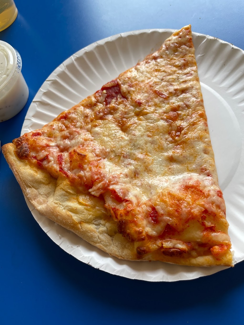 Fortunatos Italian Pizzeria Northeast | restaurant | 212 37th Ave N, St. Petersburg, FL 33704, USA | 7279547279 OR +1 727-954-7279