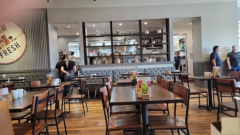 First Watch | cafe | 26054 Ingersol Dr, Novi, MI 48375, USA | 9479417104 OR +1 947-941-7104