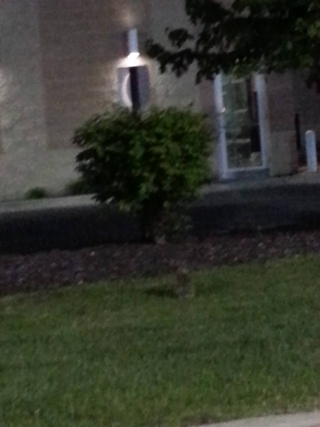 White Castle | restaurant | 1265 Normantown Rd, Romeoville, IL 60446, USA | 8152934101 OR +1 815-293-4101