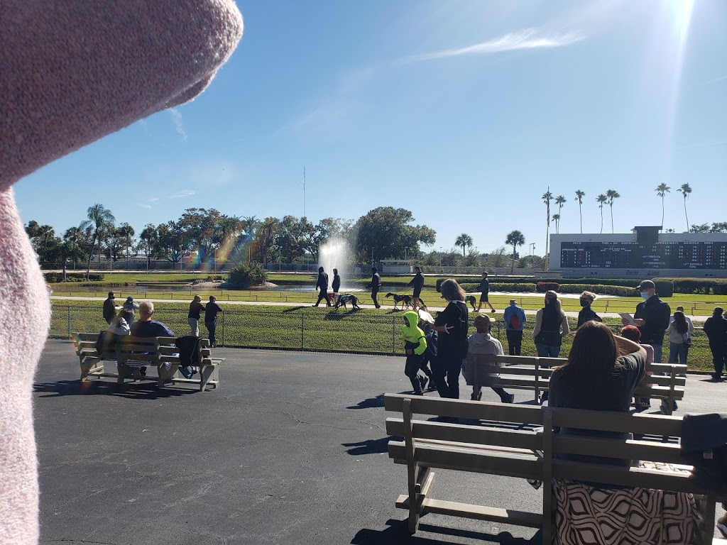 Derby Lane Poker Room | restaurant | 10490 Gandy Blvd N #200, St. Petersburg, FL 33702, USA | 7278123339 OR +1 727-812-3339