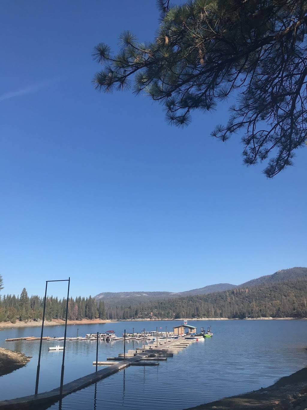 Millers Landing | restaurant | 37725-, 38123 S Shore Rd, Wishon, CA 93669, USA | 5596423633 OR +1 559-642-3633