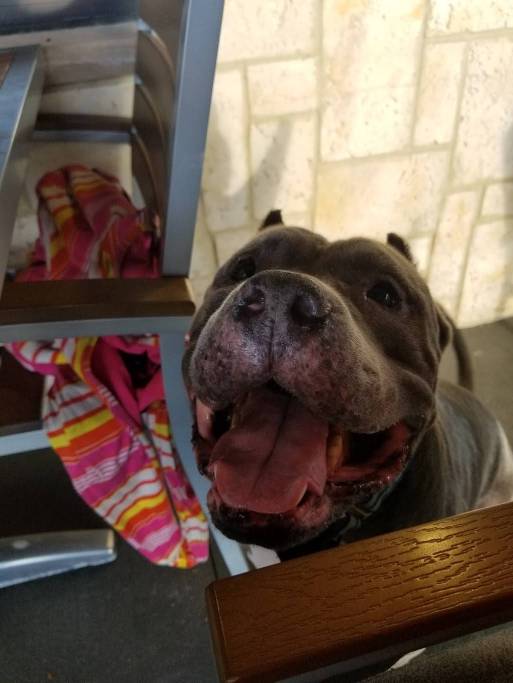 Applebees Grill + Bar | restaurant | 7995 113th St, Seminole, FL 33772, USA | 7272587079 OR +1 727-258-7079