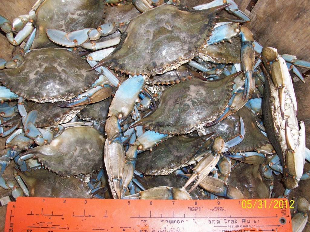 Coveside Crabs | restaurant | 7656 Old Battle Grove Rd, Dundalk, MD 21222, USA | 4104774709 OR +1 410-477-4709