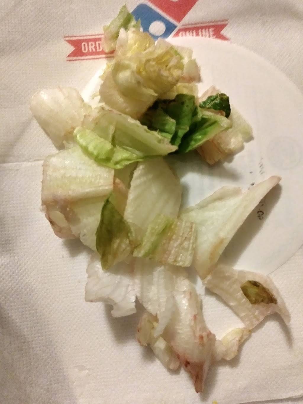 Dominos Pizza | meal delivery | 205 N Main St, Springboro, OH 45066, USA | 9377482212 OR +1 937-748-2212