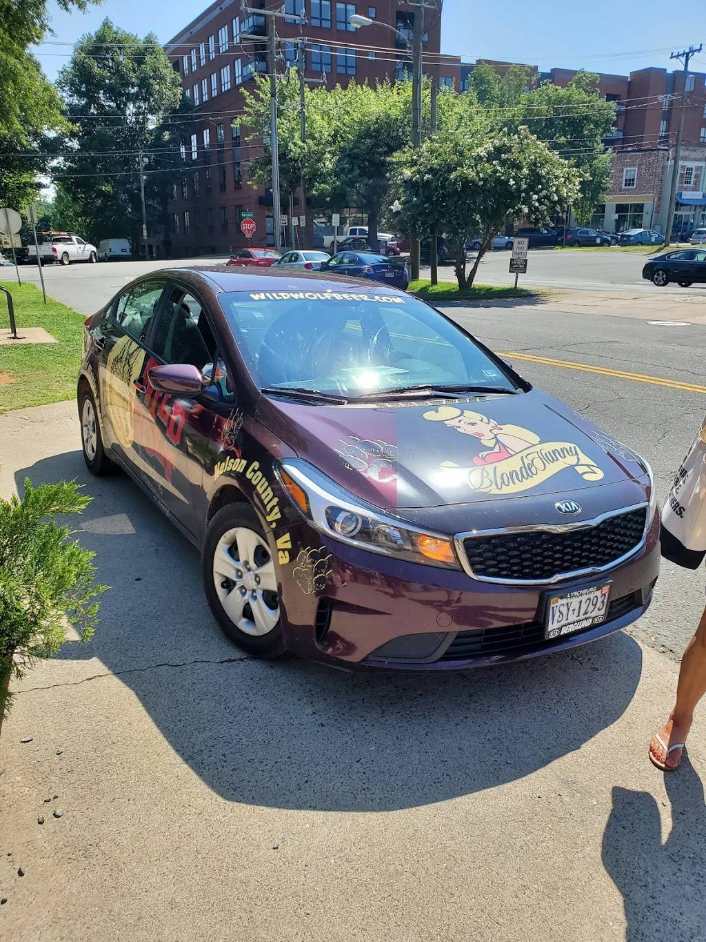 Wild Wolf Brewing Company | restaurant | 313 2nd St SE, Charlottesville, VA 22902, USA | 4342845220 OR +1 434-284-5220