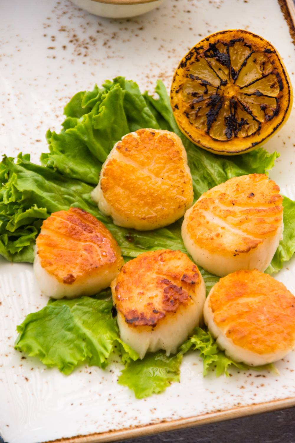 The Waterfront Restaurant | restaurant | 111 S Bay Blvd, Anna Maria, FL 34216, USA | 9417781515 OR +1 941-778-1515