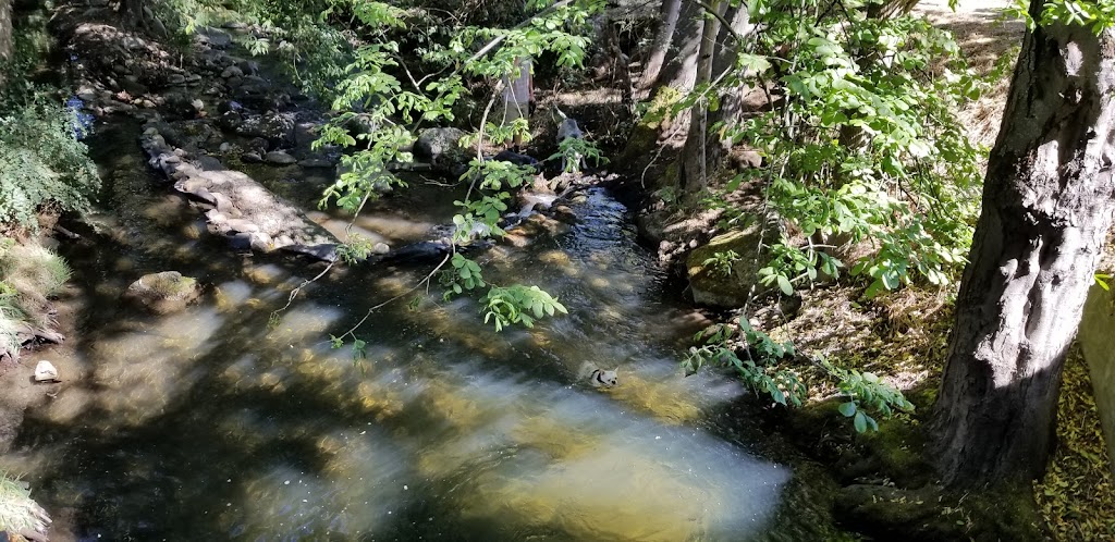 Beasys On the Creek | restaurant | TOP FLOOR, 51 Water St, Ashland, OR 97520, USA | 5414885009 OR +1 541-488-5009