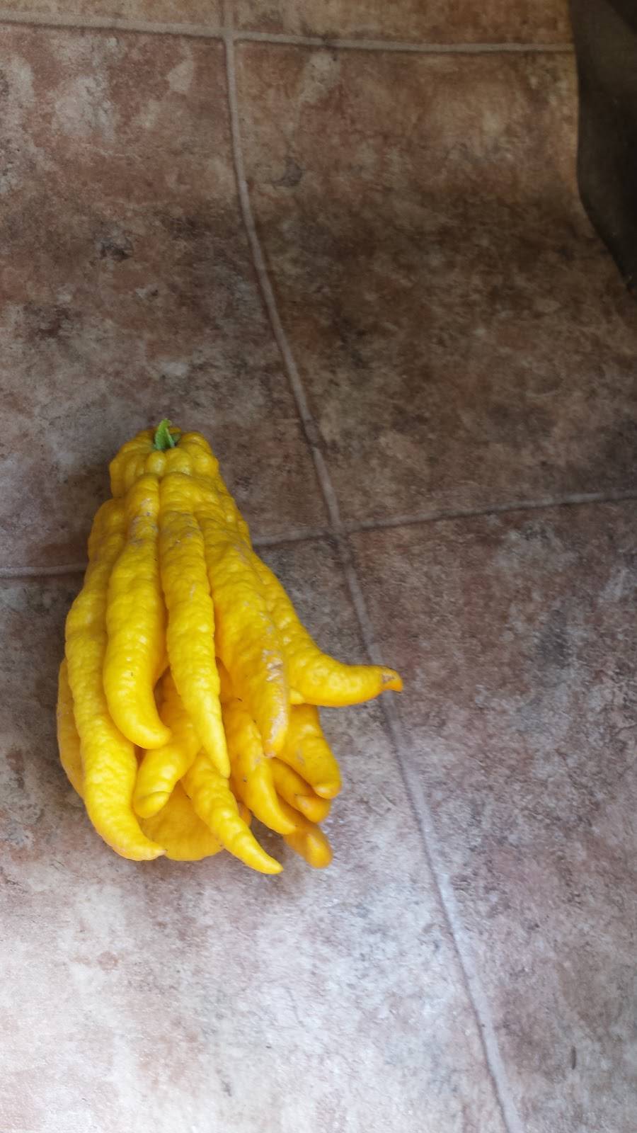 Lucky Chen | restaurant | 1721 Alhambra Drive, Antioch, CA 94509, USA | 9257780546 OR +1 925-778-0546